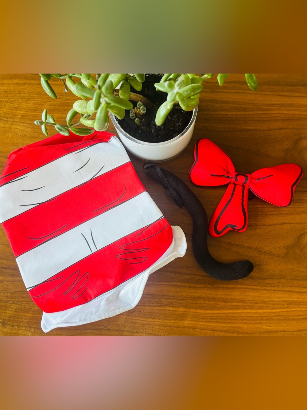 Cat & the Hat accessories set 🐈‍⬛❤️